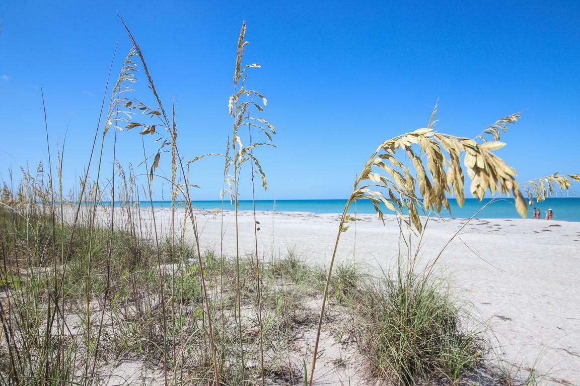 Property Photo: 7373 Palm Island Drive FL 33946