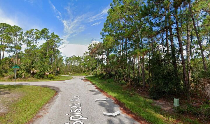 Property Photo: Spisak Avenue FL 34291