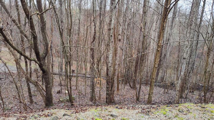 Property Photo:  35 Bay View Dr  TN 38569 