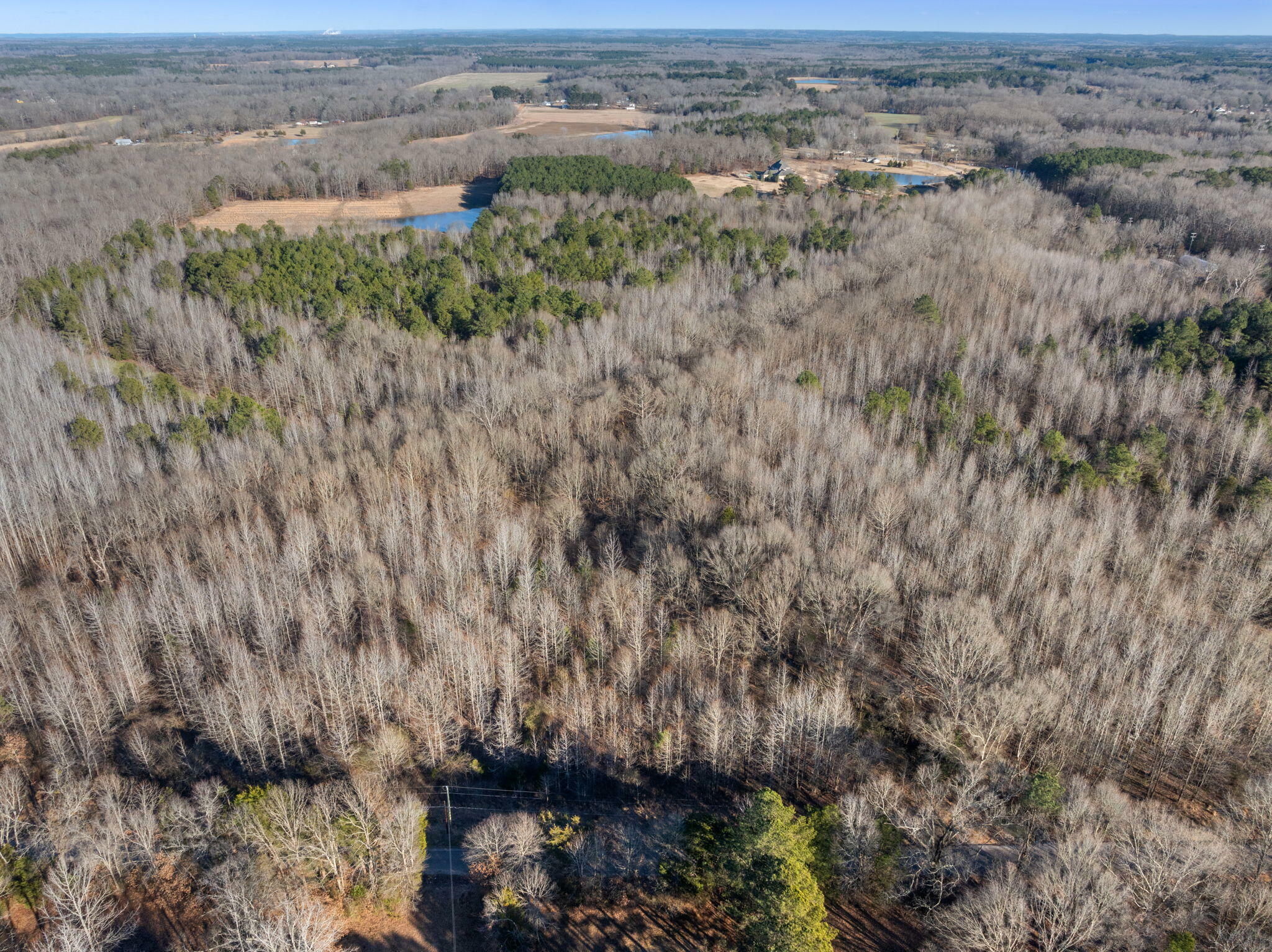 Property Photo:  Lot 2 0 John George Loop  TN 38357 