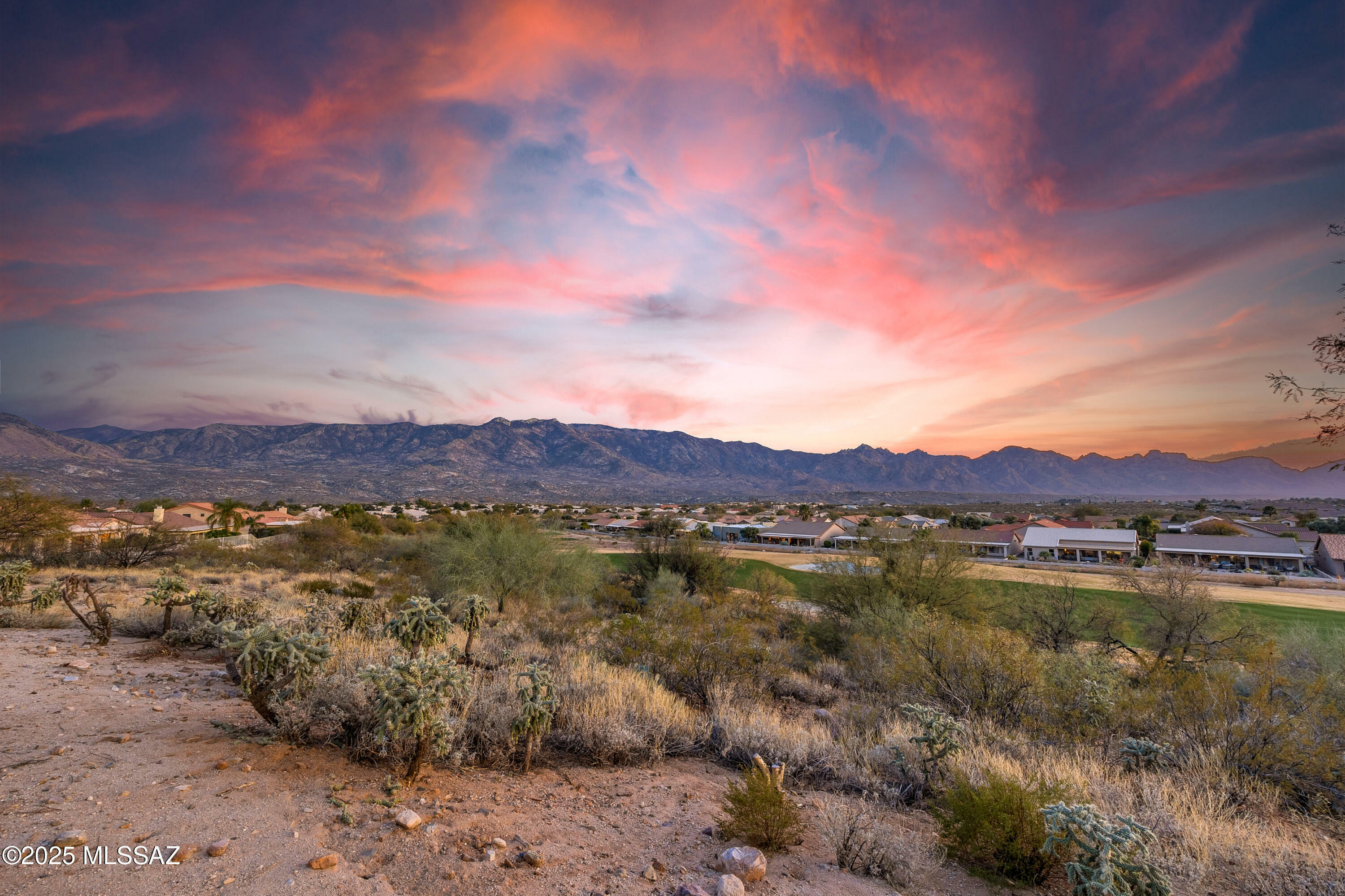 Property Photo:  63111 E Mountain Crest Drive  AZ 85739 