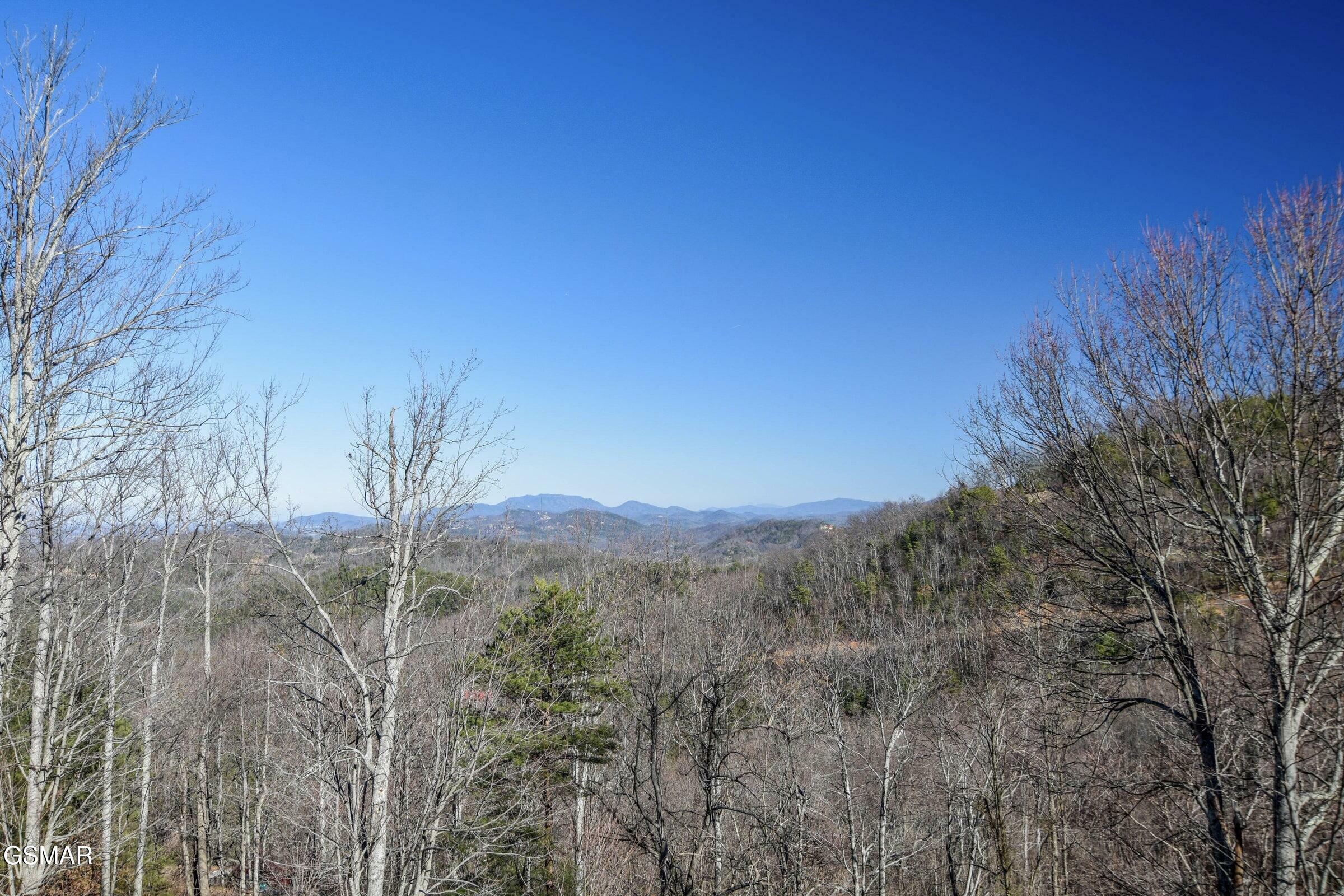 Property Photo:  2409 Walnut Cove Way  TN 37862 