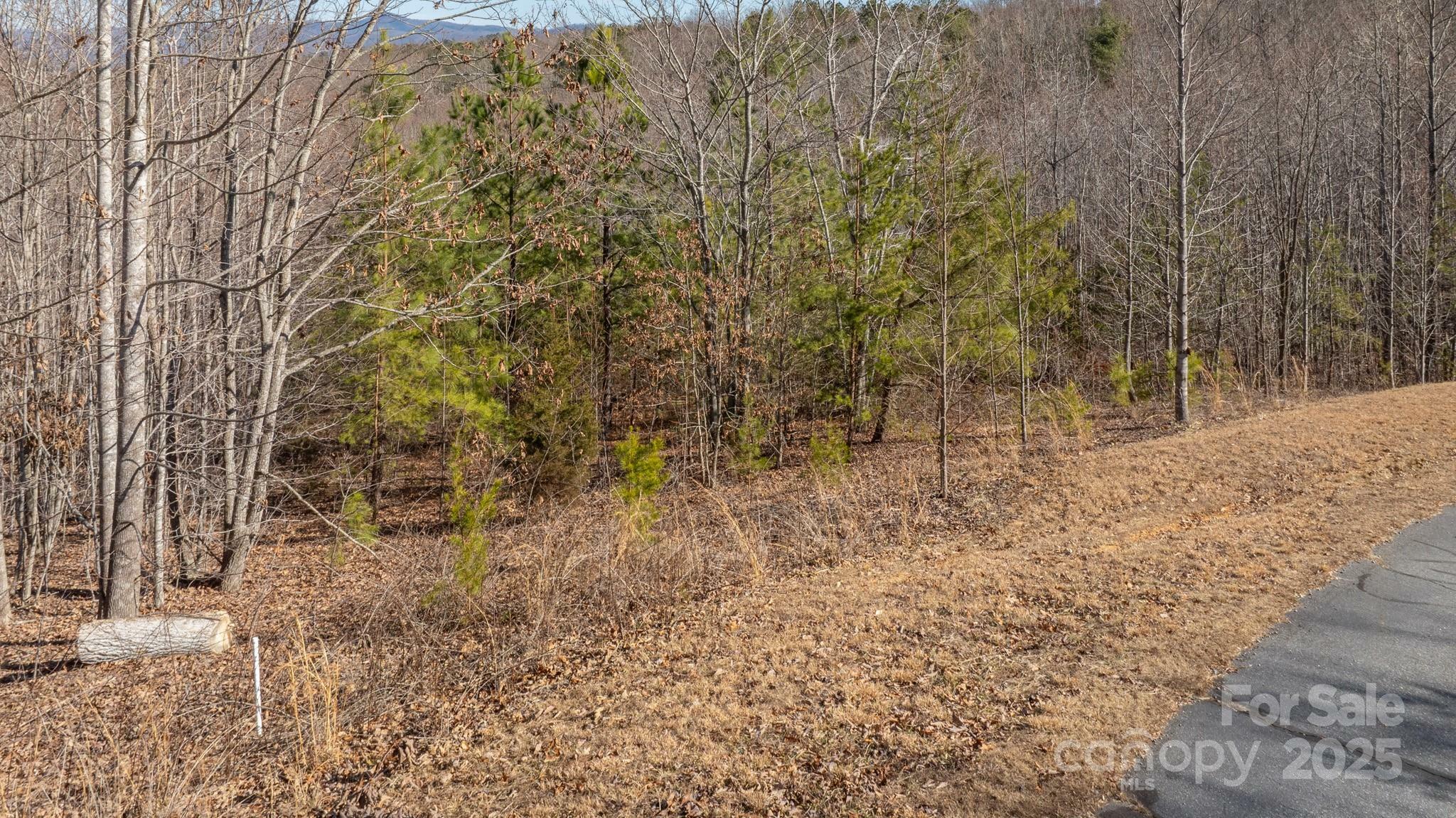 Property Photo:  Tbd Coal Pit Mountain Road  NC 28761 