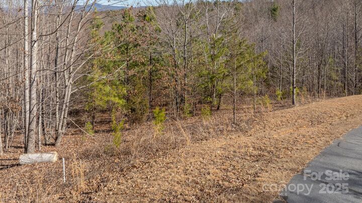 Property Photo: Tbd Coal Pit Mountain Road NC 28761