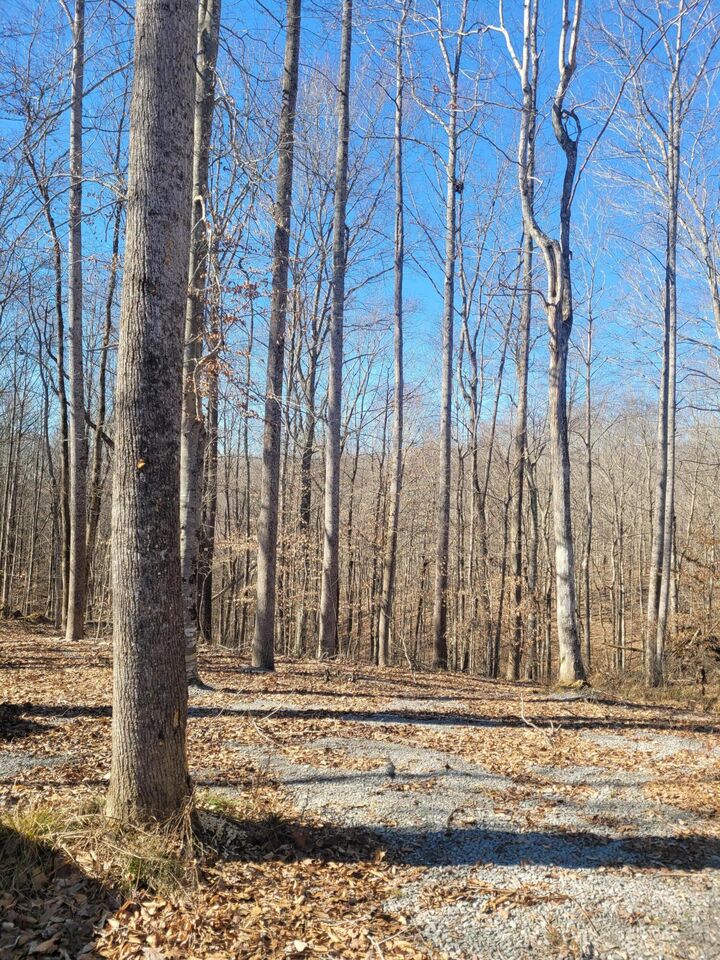 Property Photo: 165 Broyles Lane KY 42728