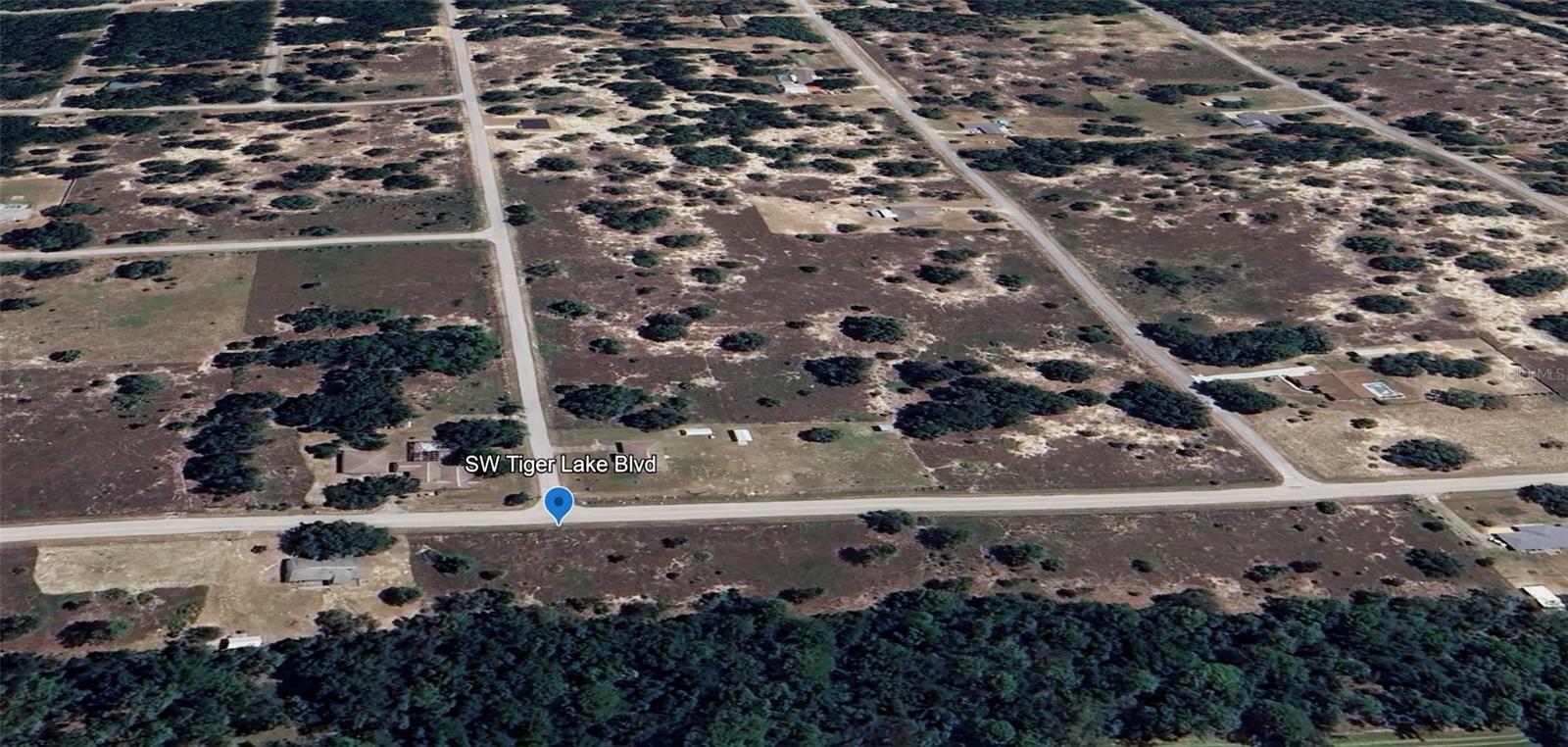 Property Photo:  SW Tiger Lake Blvd  FL 34431 