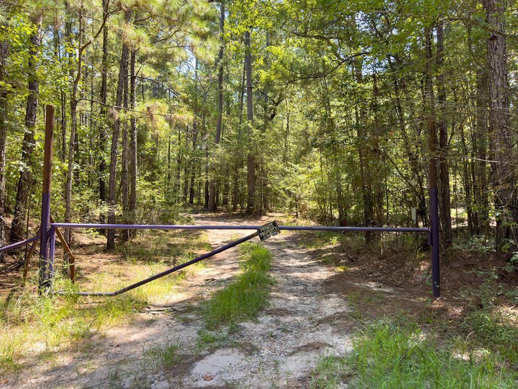 Tract4.4 Frazier Road  Zavalla TX 75980 photo