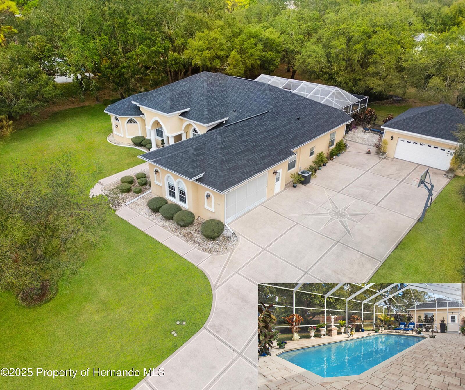 Property Photo:  10331 Fox Sparrow Avenue  FL 34613 