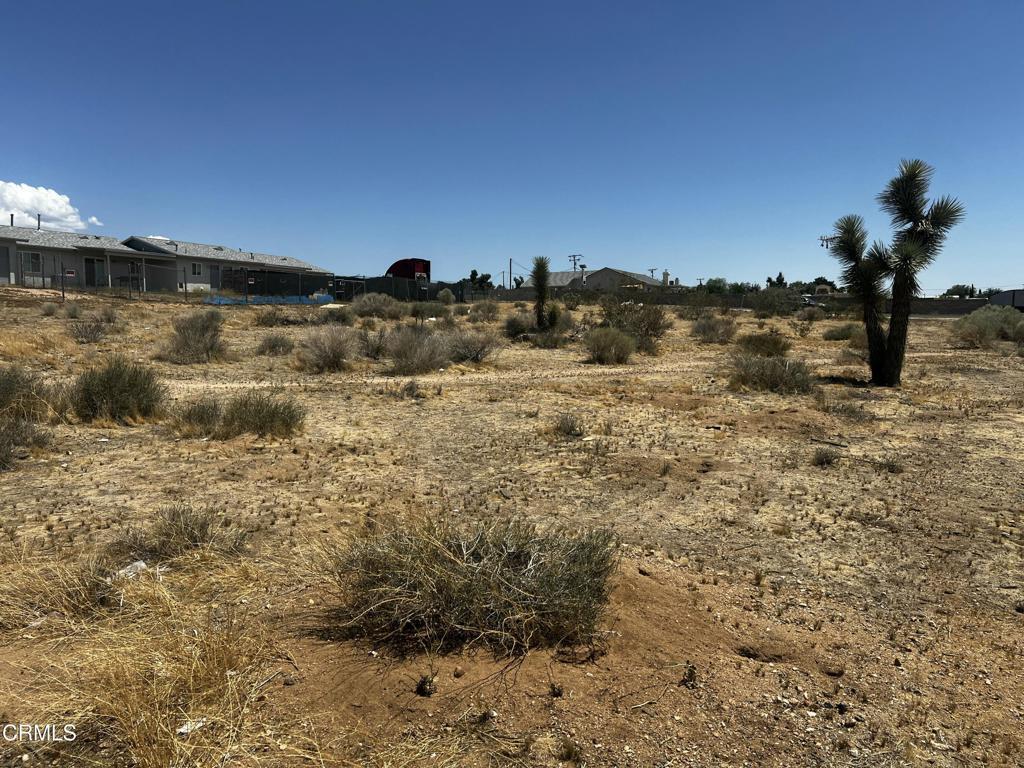 Property Photo: 16678 Sequoia Street CA 92345