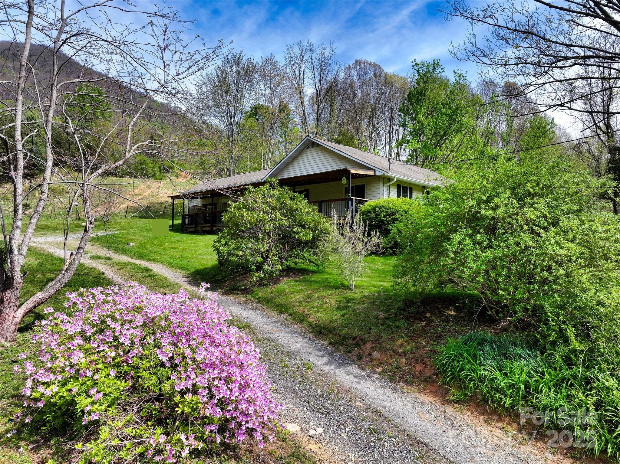 Property Photo: 1567 Newfound Road NC 28748