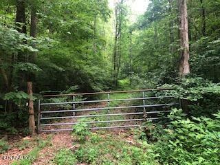 Property Photo:  Hickory Star Rd  TN 37807 