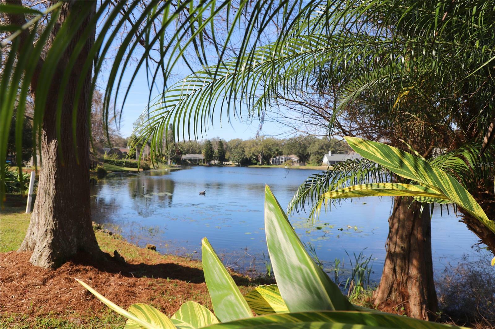 Property Photo: 1001 Willa Lake Circle FL 32765
