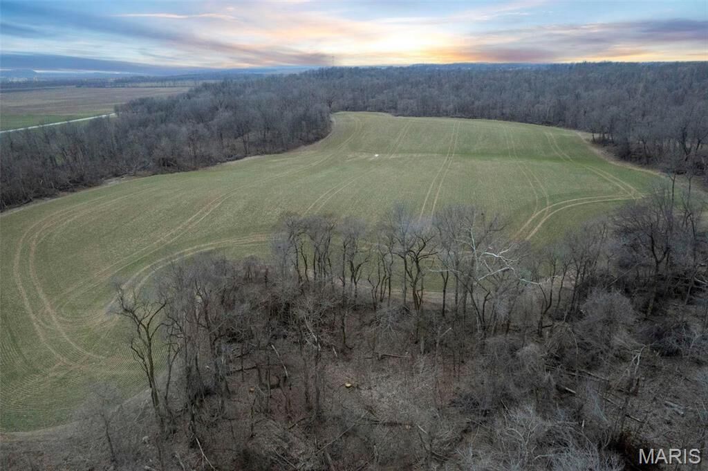 Property Photo: 0 County Road 206/Highway 74 MO 63701