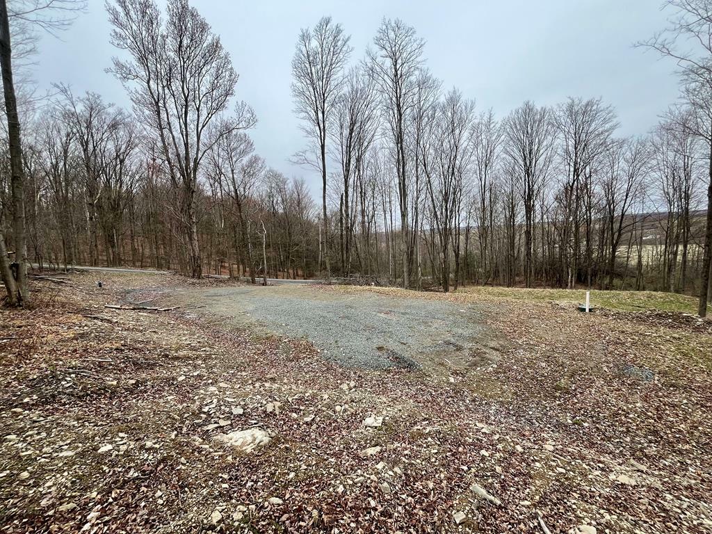 Property Photo: 000 Hall Rd PA 16914