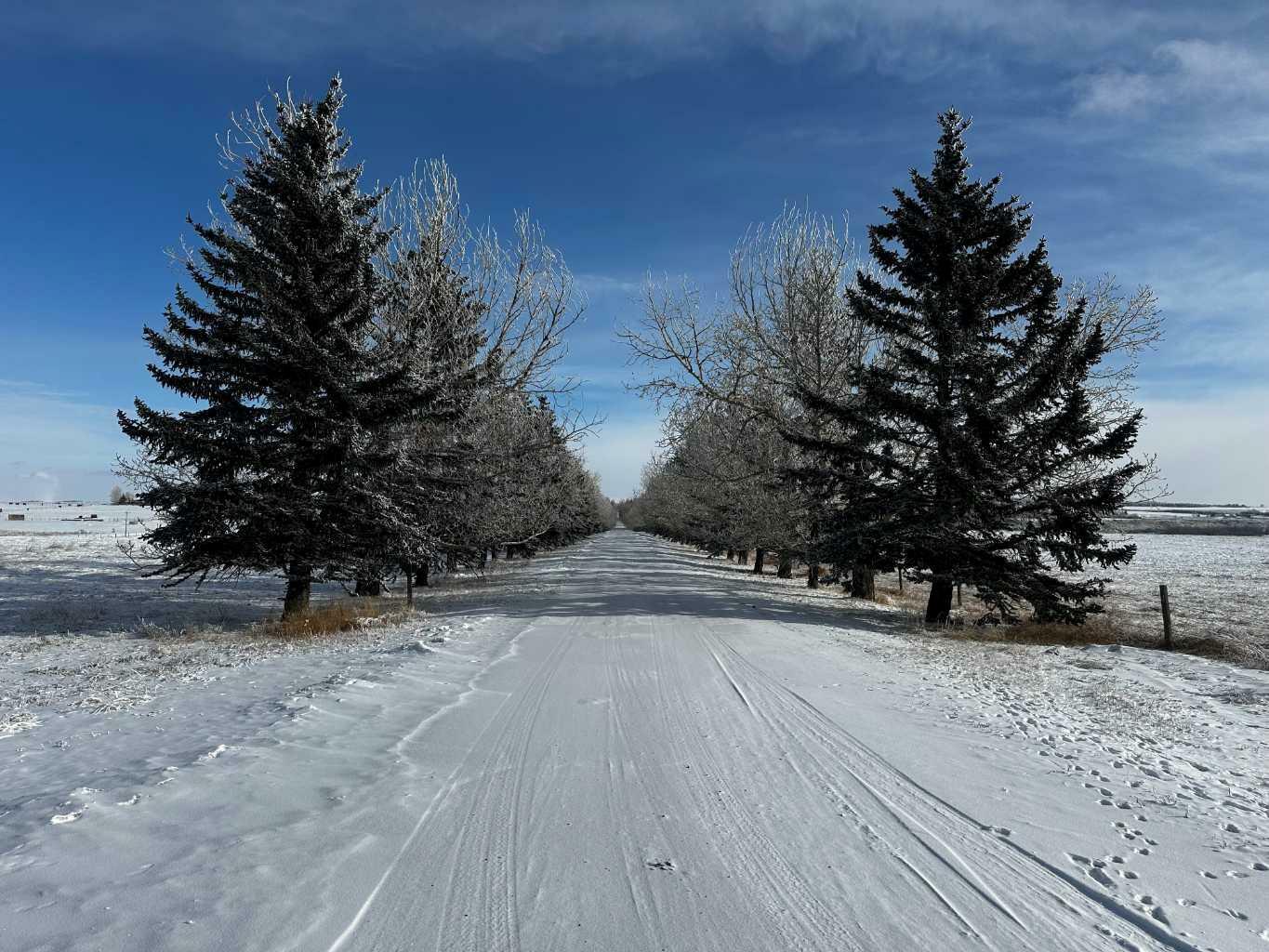 354032 80 Street E  Rural Foothills County AB T1S 1A9 photo