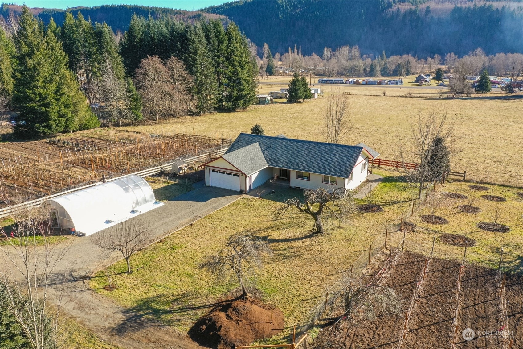 244  Martin Road  Glenoma WA 98336 photo