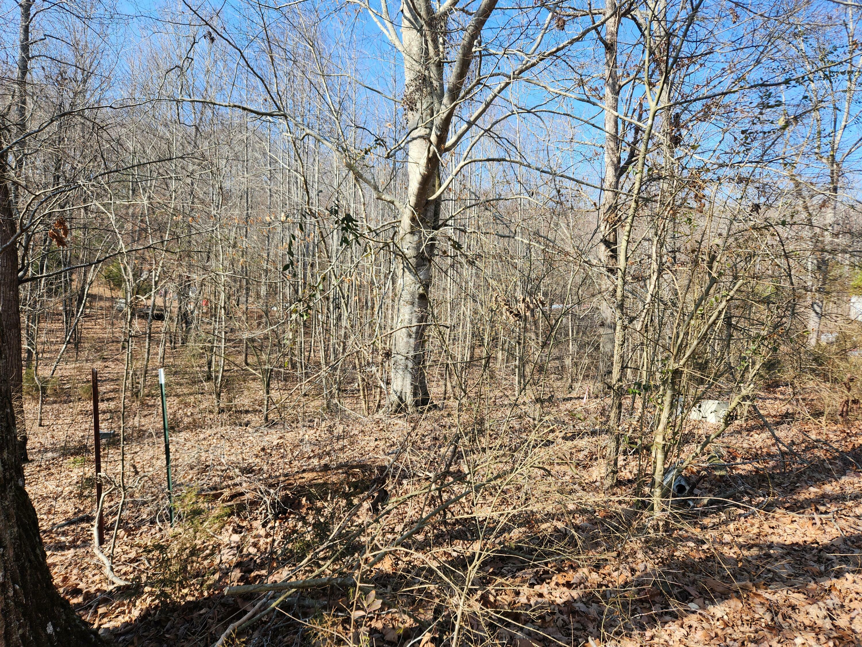 Property Photo: 000 County Road 110 TN 37303