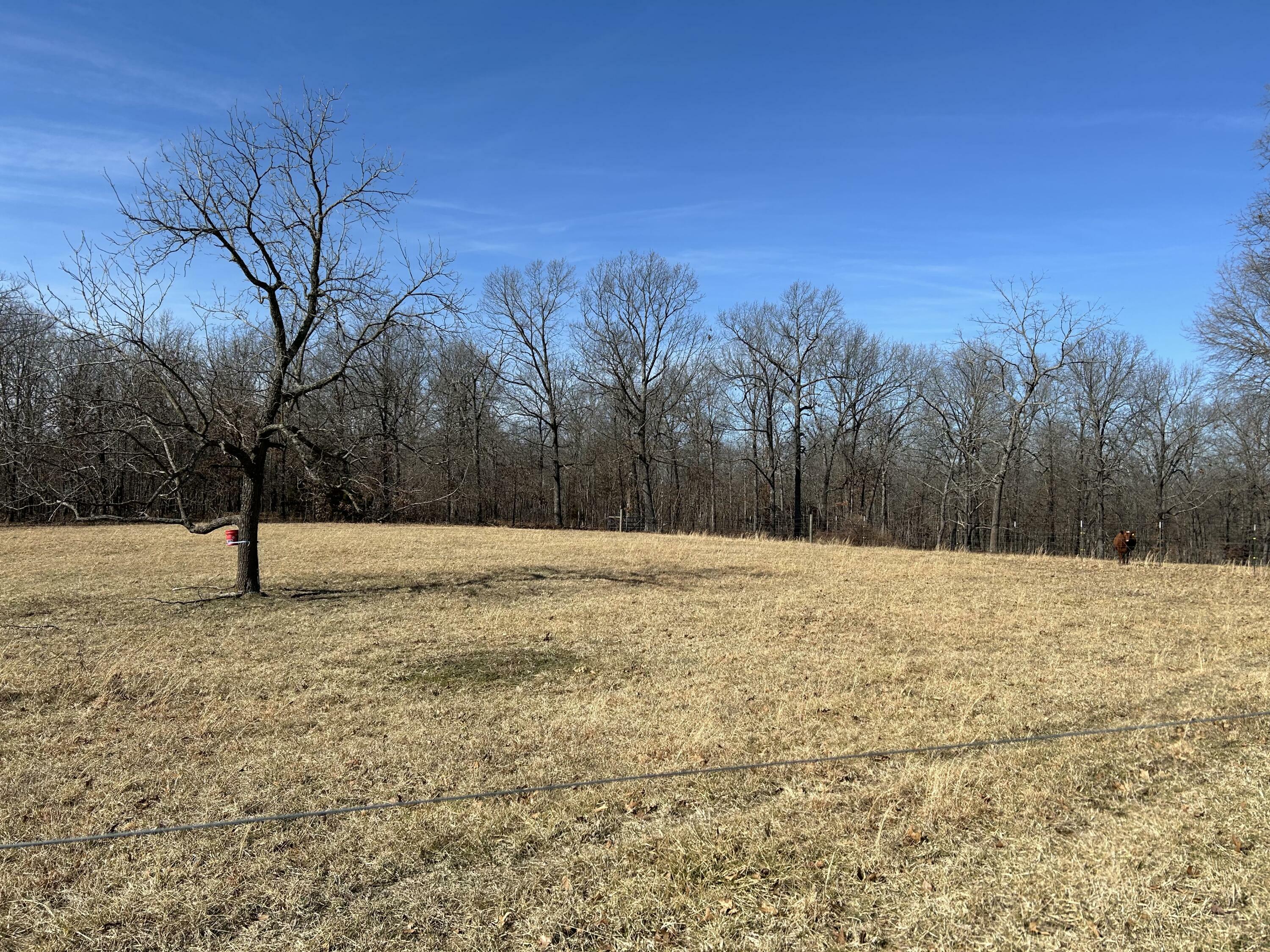 Property Photo: 7738 P Highway MO 65692