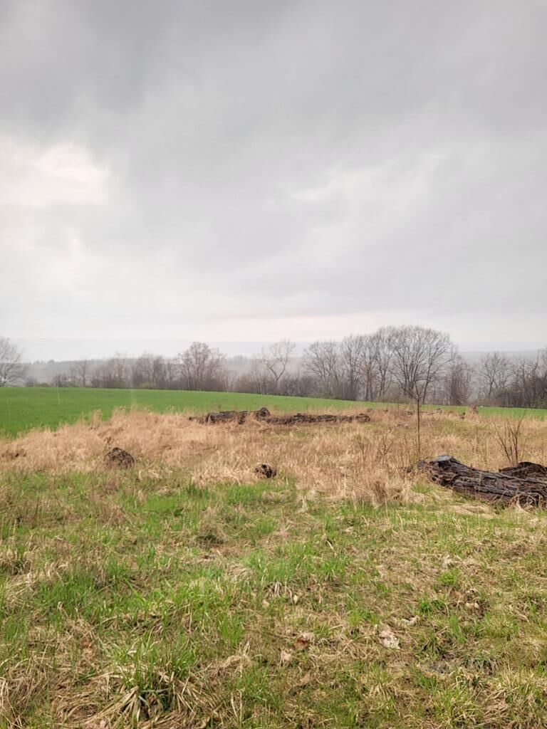 Property Photo:  0 Dolphsburg  NY 14891 