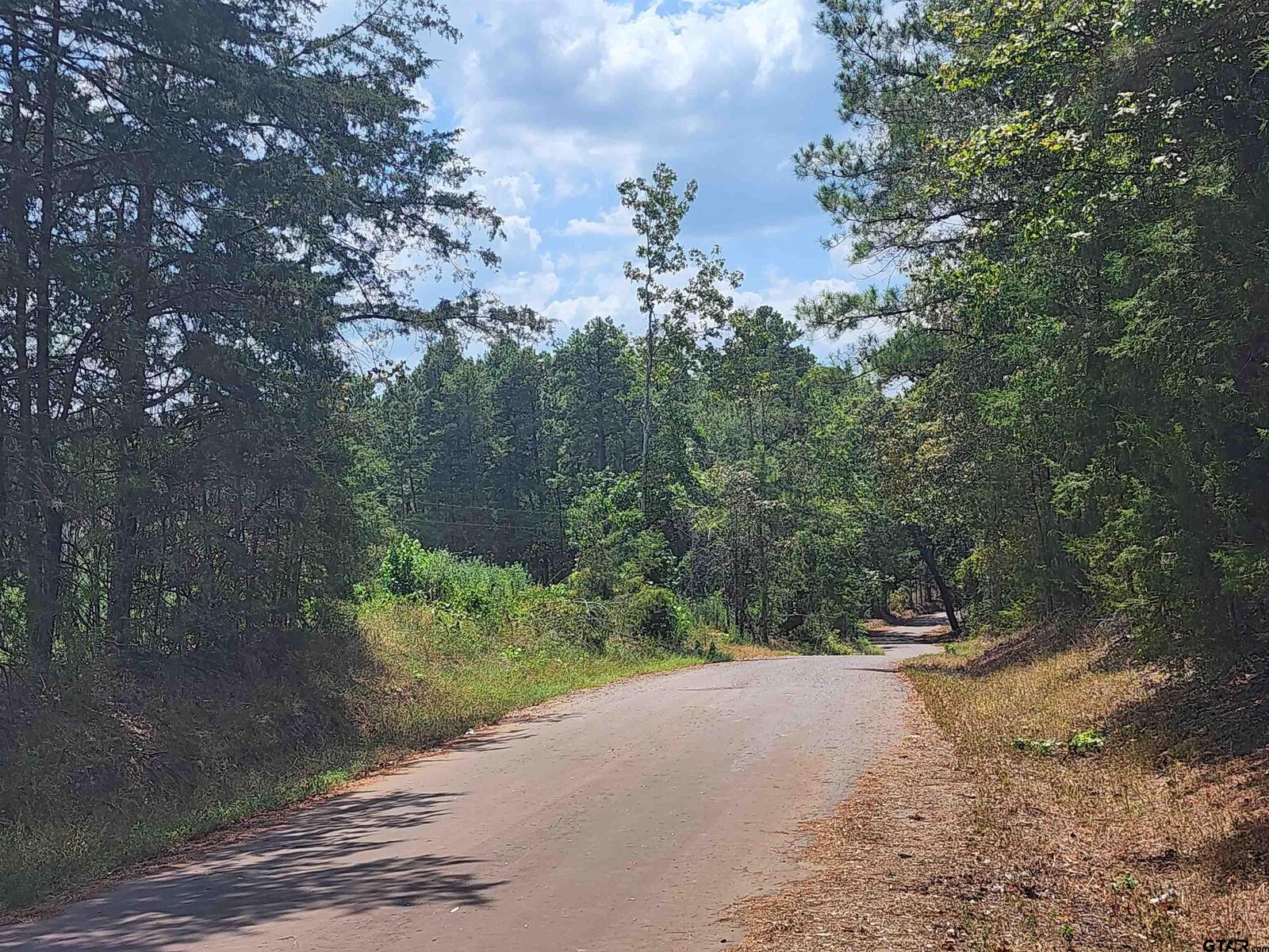Property Photo:  Tract 1 Tbd County Road 1762  TX 75563 