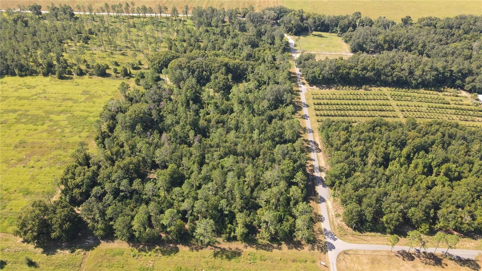 Property Photo: Amberlea Road FL 33523