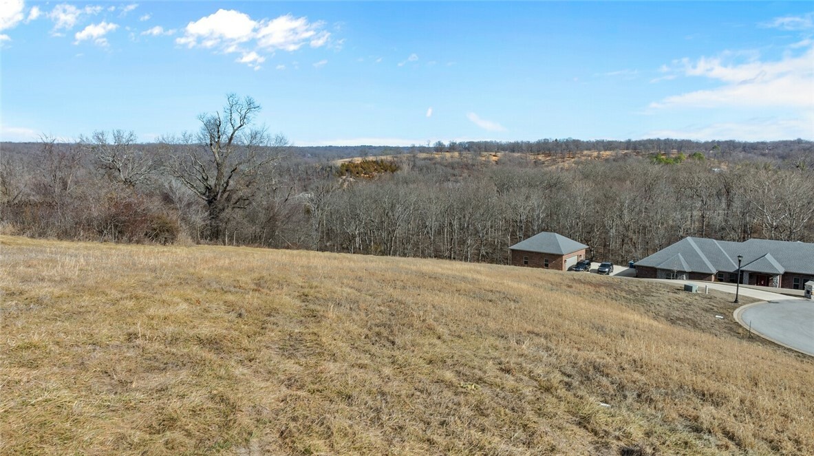 Property Photo:  Tbd - Lot 3 NW Hidden Cove  AR 72712 