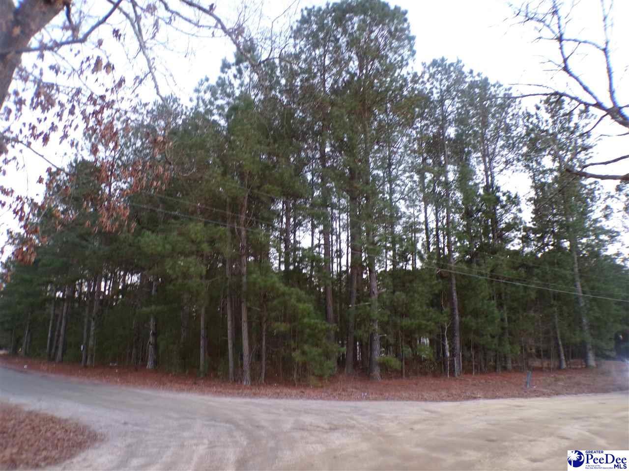Property Photo: Tbd New Holly &Amp Millwood SC 29536