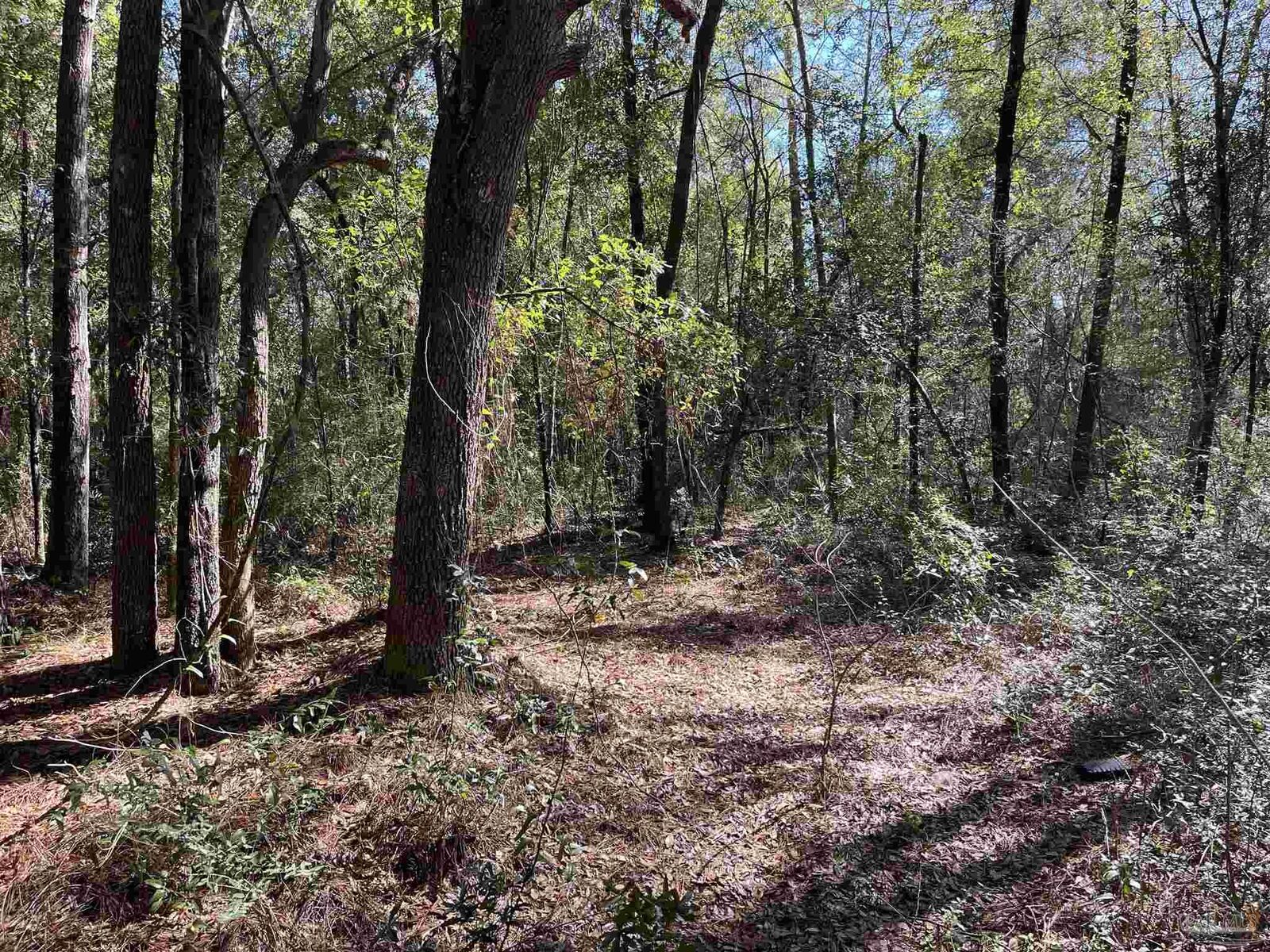 Property Photo:  0 Nagel Dr  FL 32583 