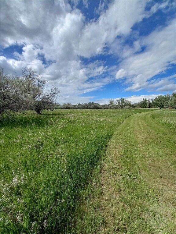 Property Photo:  Tbd Rimrock Road  MT 59106 