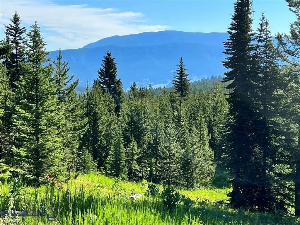 Tbd Trout Pond Lane  Big Sky MT 59716 photo