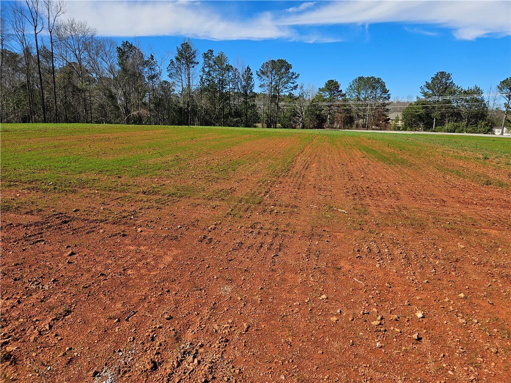Property Photo: 8160 County Road 87 AL 36863