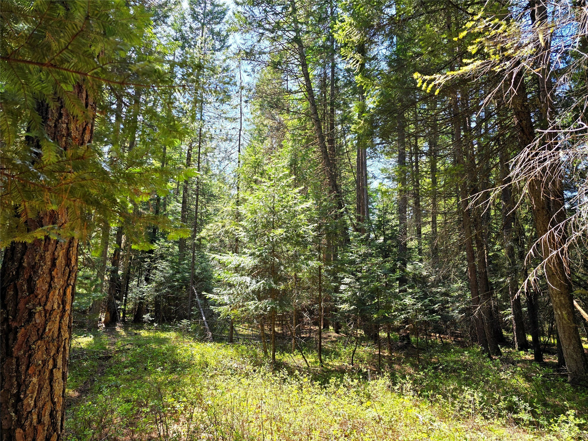 Property Photo: Lot 2 Bayside Lane MT 59874