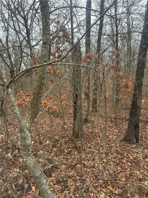 Property Photo:  Lot 13 Southborough Lane  AR 72714 