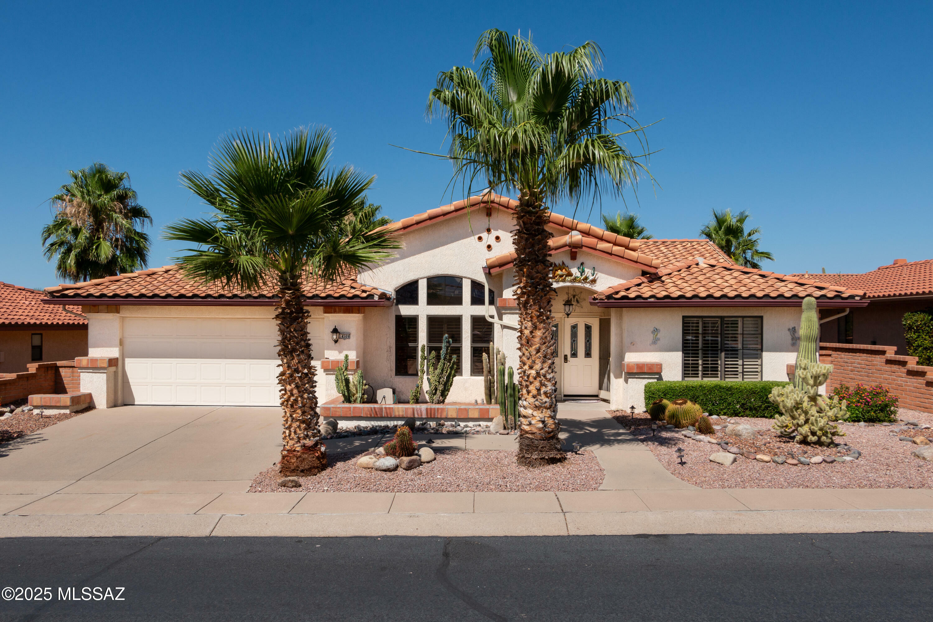 Property Photo:  14509 N Chalk Creek Drive  AZ 85755 