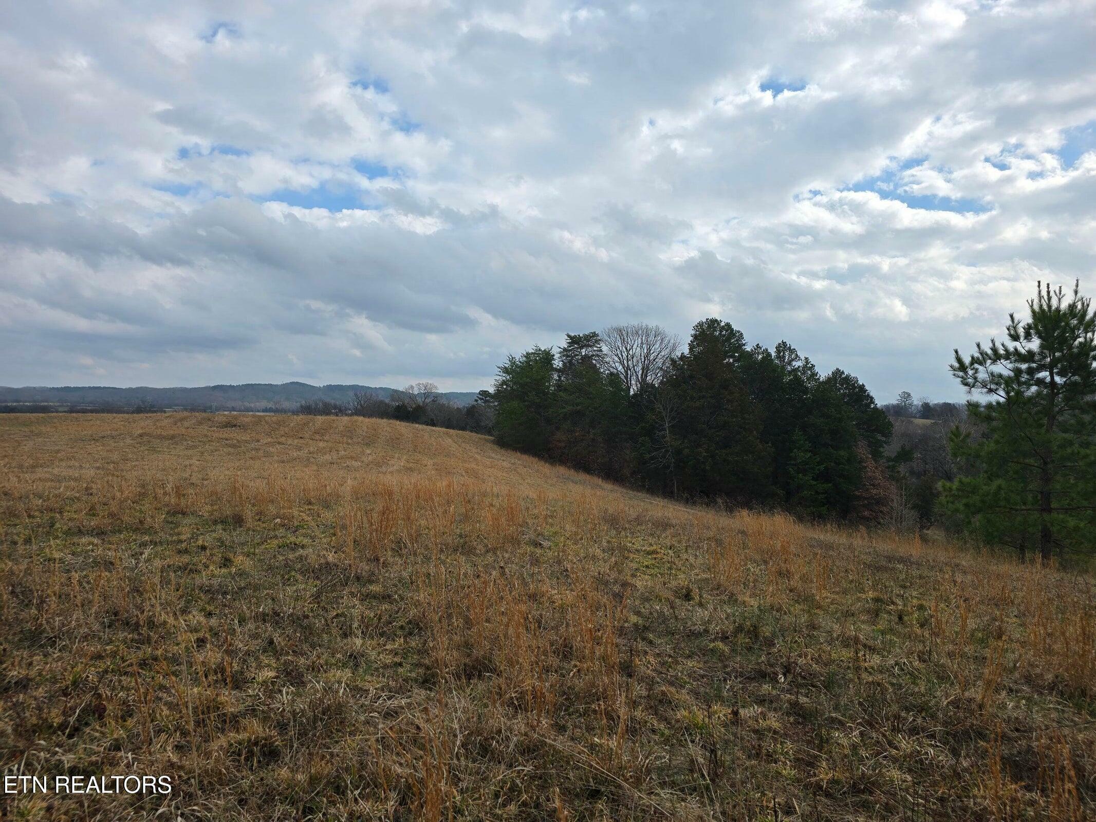 Property Photo:  16 Acres Highway 58  TN 37880 