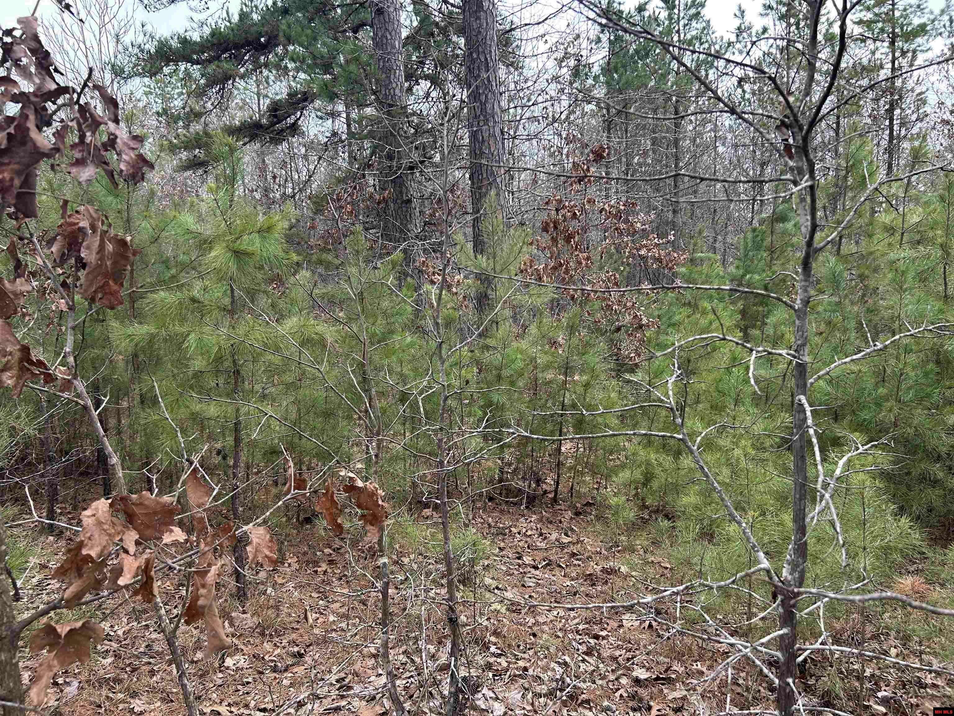Property Photo: 001-0197-000 Turkey Springs Road AR 72639