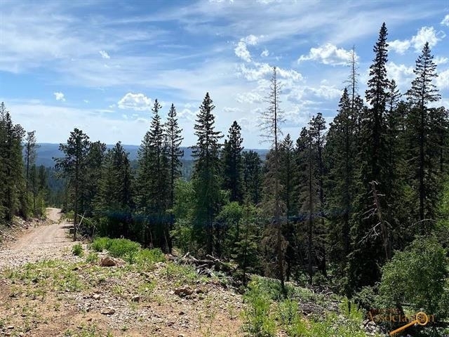 Property Photo:  Lot 24 Blue Sky Loop  SD 57754 