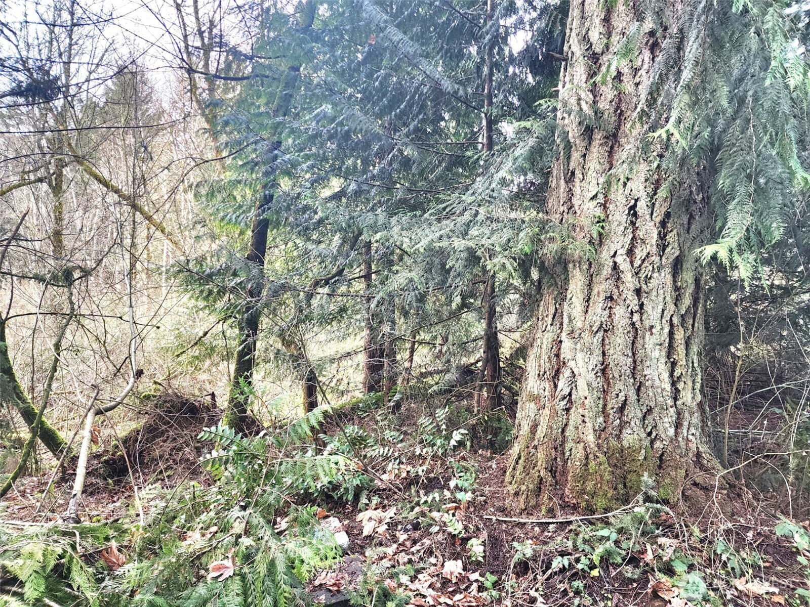 Property Photo: 17931 West Lane SE WA 98597