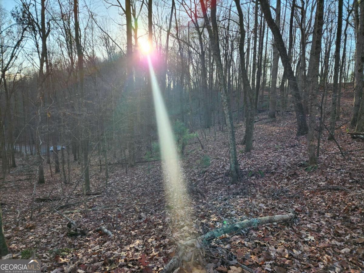Property Photo: Lot 390 Walhalla Court GA 30540