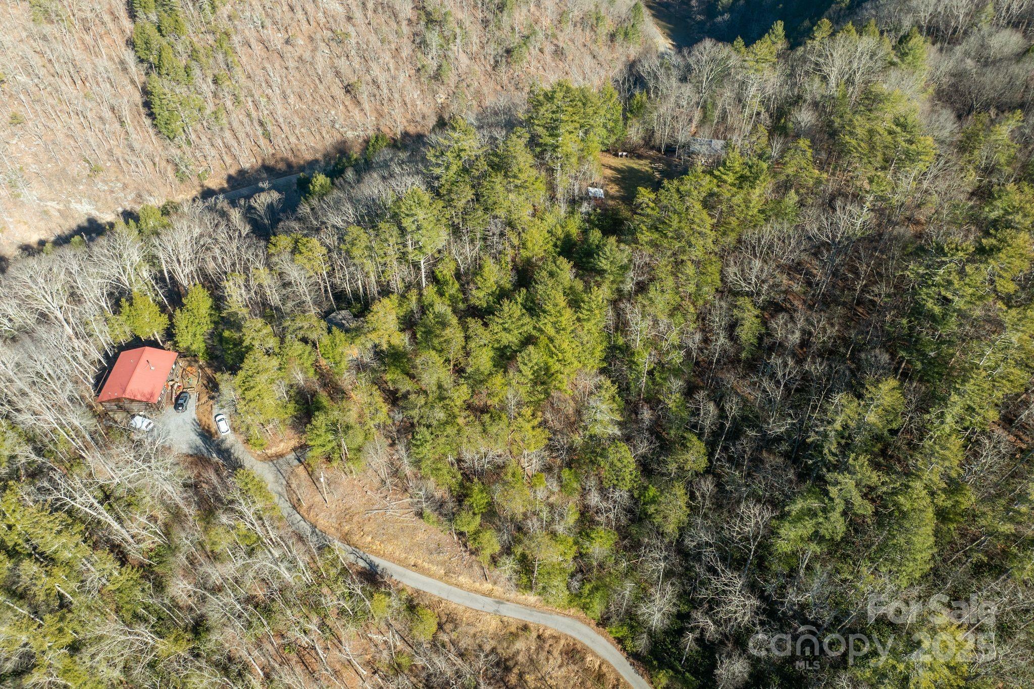 Property Photo:  131 Ivy Bluff Road 3  NC 28753 