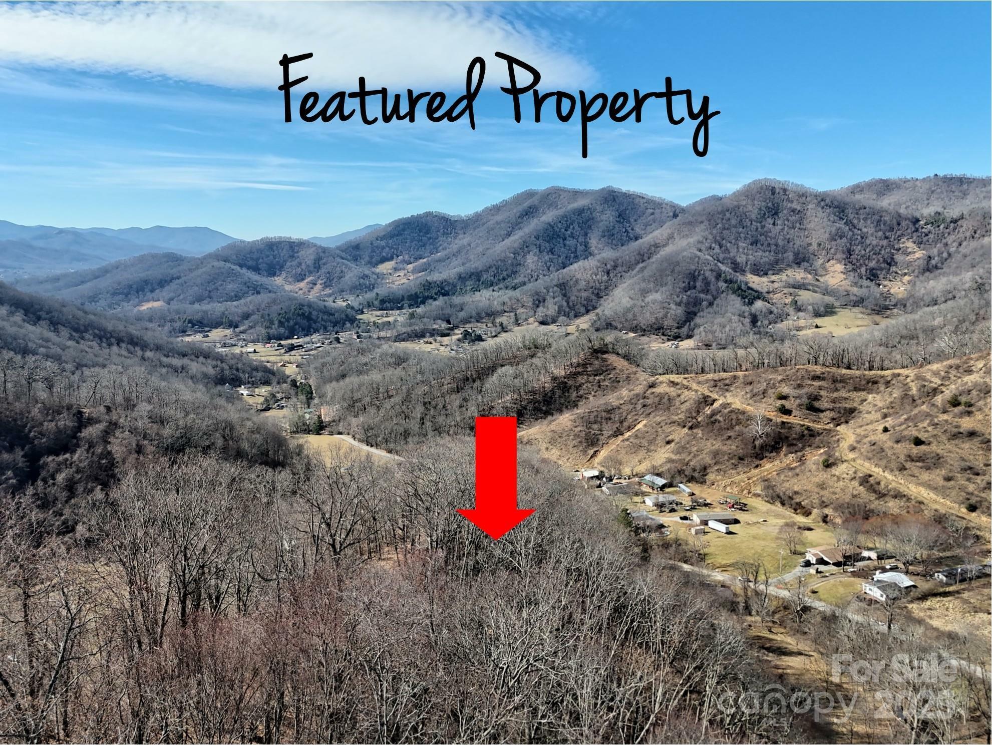 Property Photo:  00 Wilson Cove Road  NC 28716 