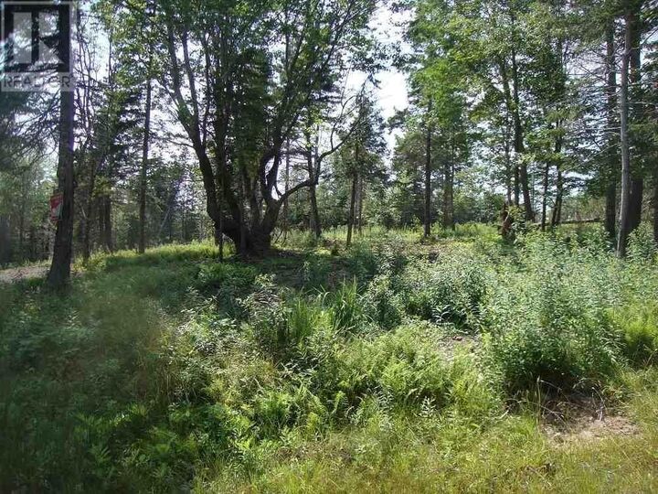Property Photo:  Lot 4 Macleods Pond Road  NS B0E 3B0 