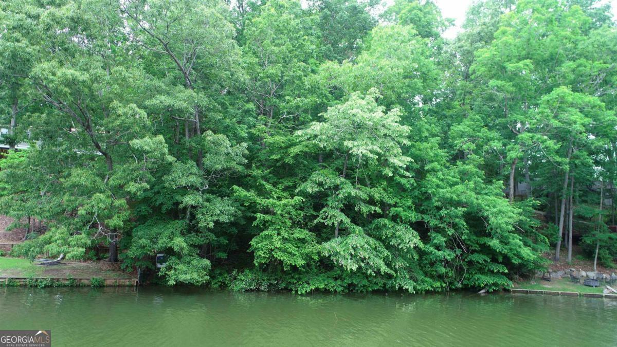 Property Photo:  119 Bluegill Run  GA 31024 