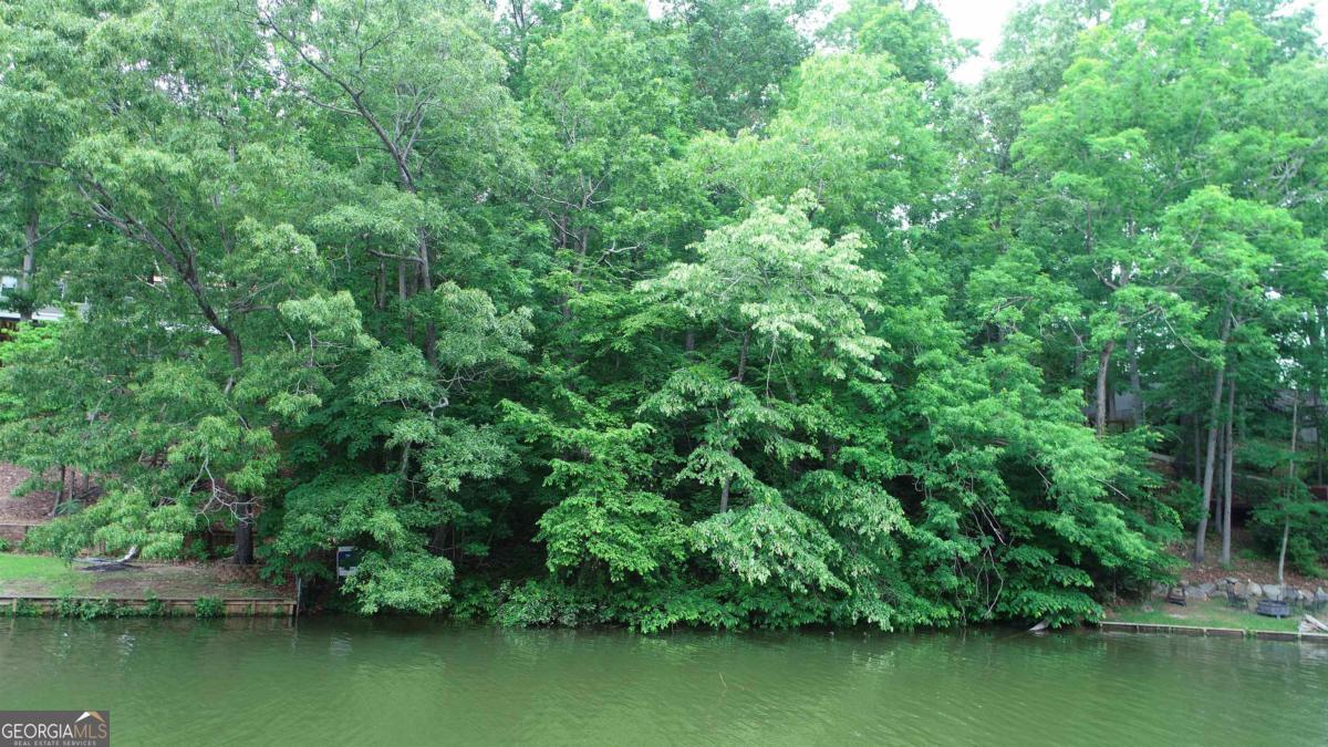 Property Photo: 119 Bluegill Run GA 31024