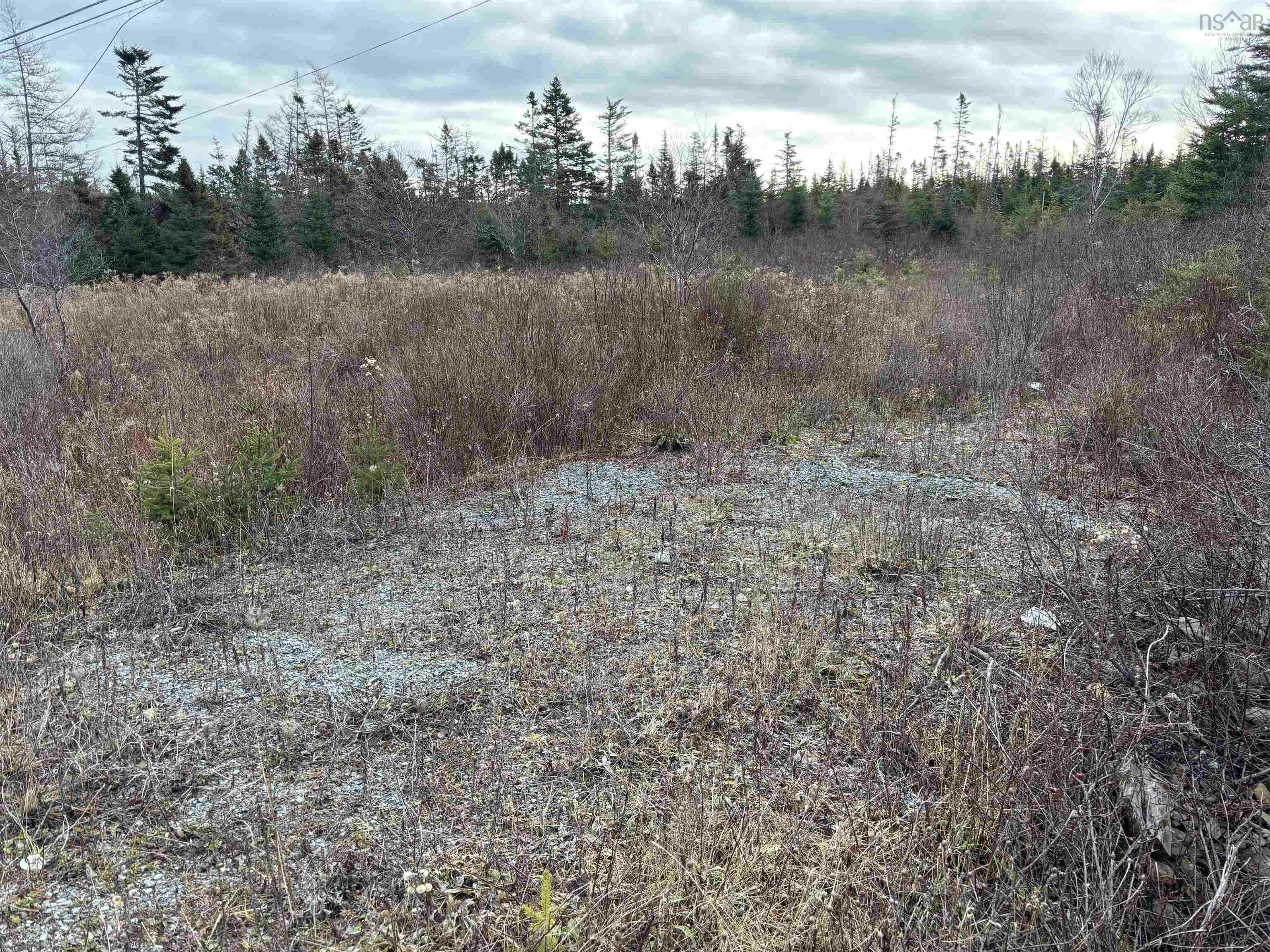 Property Photo:  Lot D2 Highway 7  NS B0J 3B0 