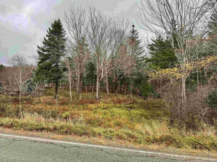 Property Photo:  No 340 Highway  NS B0W 3T0 