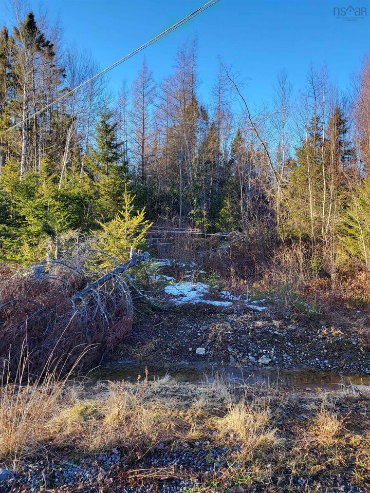 Property Photo:  Lot 21-2 Country Harbour Road  NS B0H 1J0 
