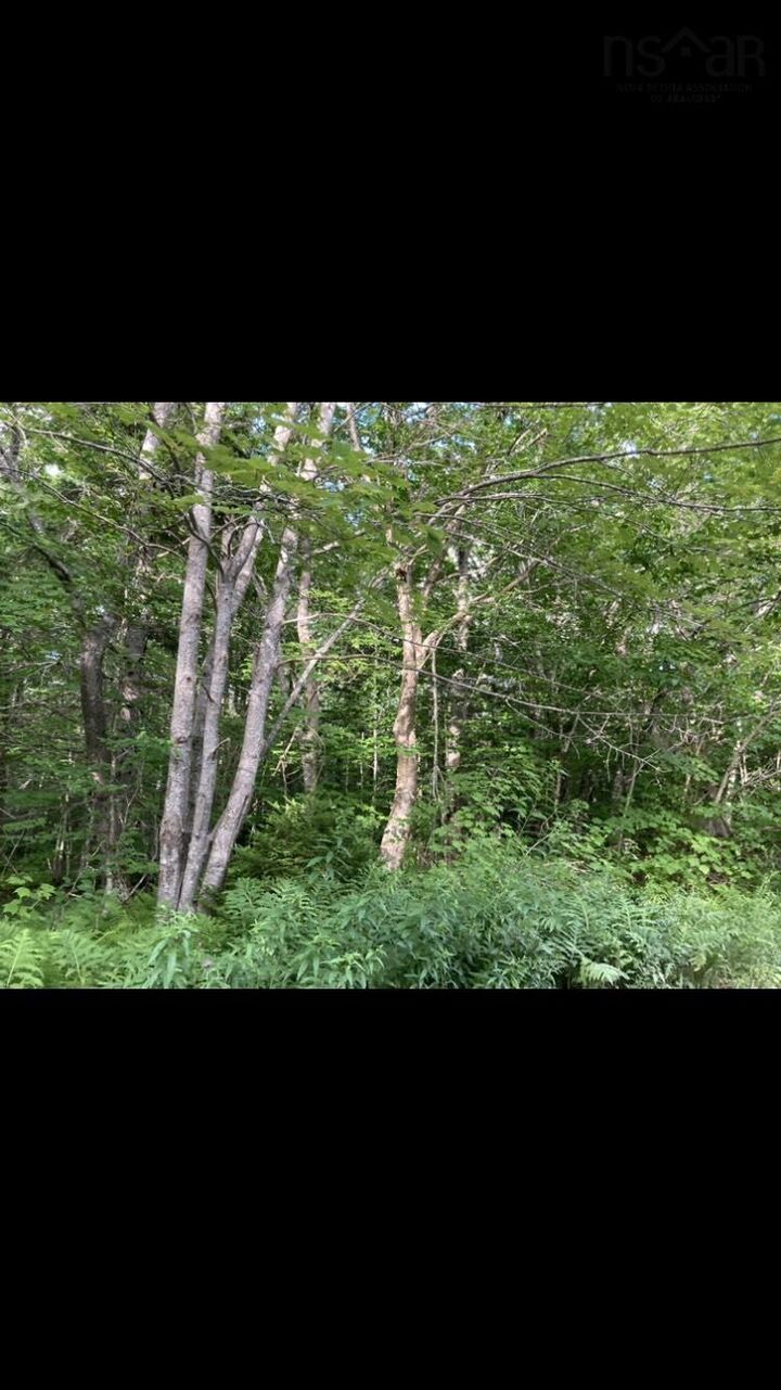 Simons Rd. — photo 1