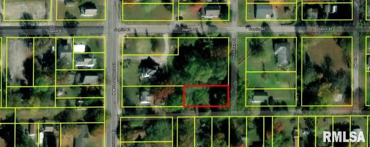 Property Photo:  600 Block Hickman Street  IL 62812 