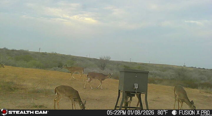 Property Photo:  00 S County Road 153  TX 78119 